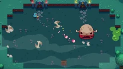 Blazing Beaks - Nintendo Switch [RED ART GAMES]