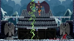 Chronicles of 2 Heroes: Amaterasu's Wrath [Collector's Edition] - Nintendo Switch [PEGI Import]