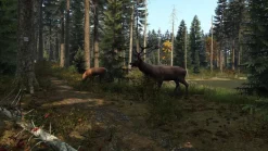 DAY Z - Playstation 4