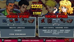 DOUBLE DRAGON GAIDEN RISE OF THE DRAGONS - SWITCH