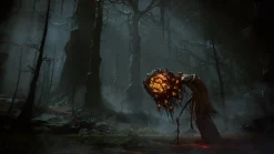 ELDEN RING Shadow of the Erdtree Edition - XBOX SERIES X