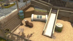 HOUSE FLIPPER PETS EDITION - SWITCH
