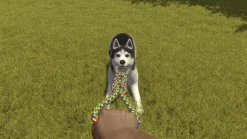 HOUSE FLIPPER PETS EDITION - SWITCH