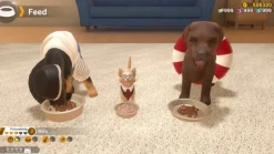 Little Friends Dogs & Cats - SWITCH