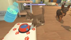 My Universe: Puppies and Kittens - Nintendo Switch
