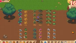 Orange Season - Nintendo Switch