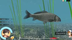 Reel Fishing: Days of Summer - Nintendo Switch