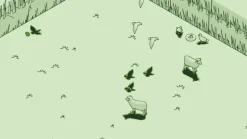 SCHiM - Nintendo Switch
