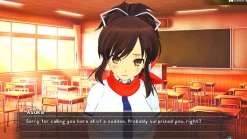 Senran Kagura Reflexions [Limited Run Games] - Nintendo Switch (FREE SHIPPING)