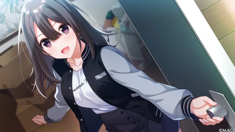 SINce Memories: Off the Starry Sky - Nintendo Switch