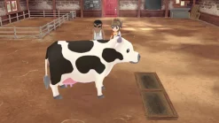 STORY OF SEASONS A WONDERFUL LIFE PREMIUM EDITION - PS5