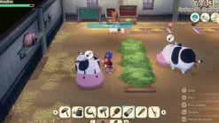 STORY OF SEASONS: Grand Bazaar [Premium Edition] - Nintendo Switch (PRE-ORDER) (FREE SHIPPING)
