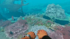 Stranded Deep - SWITCH