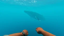 Stranded Deep - SWITCH