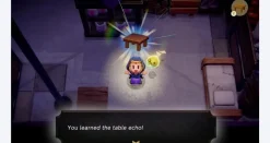The Legend of Zelda Echoes of Wisdom - Nintendo Switch (Free Shipping)