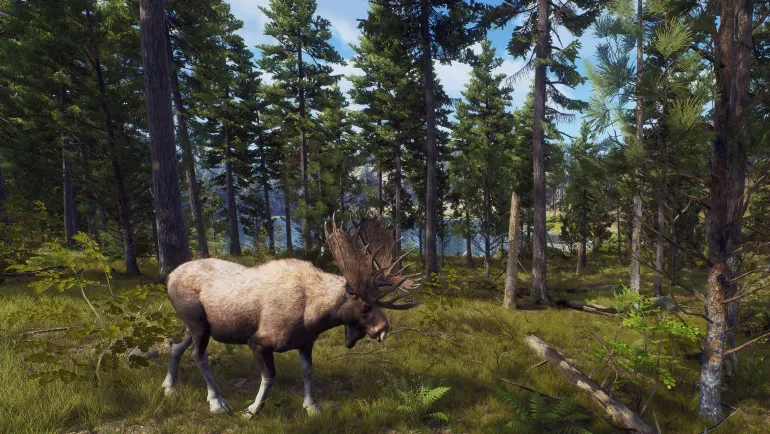 Way of the Hunter Hunting Season - PlayStation 5