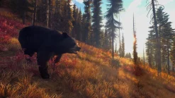 Way of the Hunter Hunting Season - XBOX SERIES X