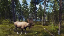 Way of the Hunter Hunting Season - XBOX SERIES X