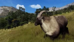Way of the Hunter: Wild Expeditions - Playstation 5