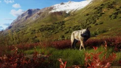Way of the Hunter: Wild Expeditions - Xbox Series X