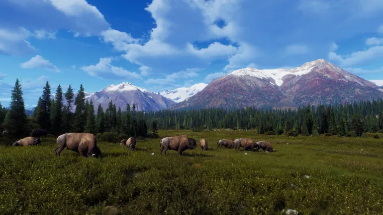 Way of the Hunter: Wild Expeditions - Xbox Series X