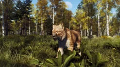 Way of the Hunter: Wild Expeditions - Xbox Series X