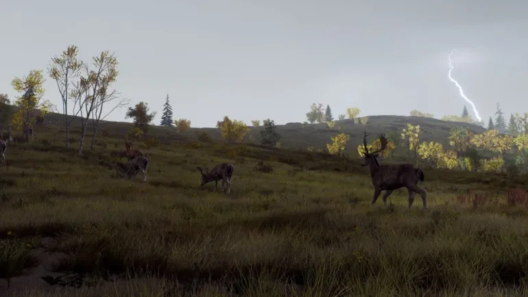 Way of the Hunter: Wild Expeditions - Xbox Series X