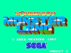 Wonder Boy Collection - SWITCH